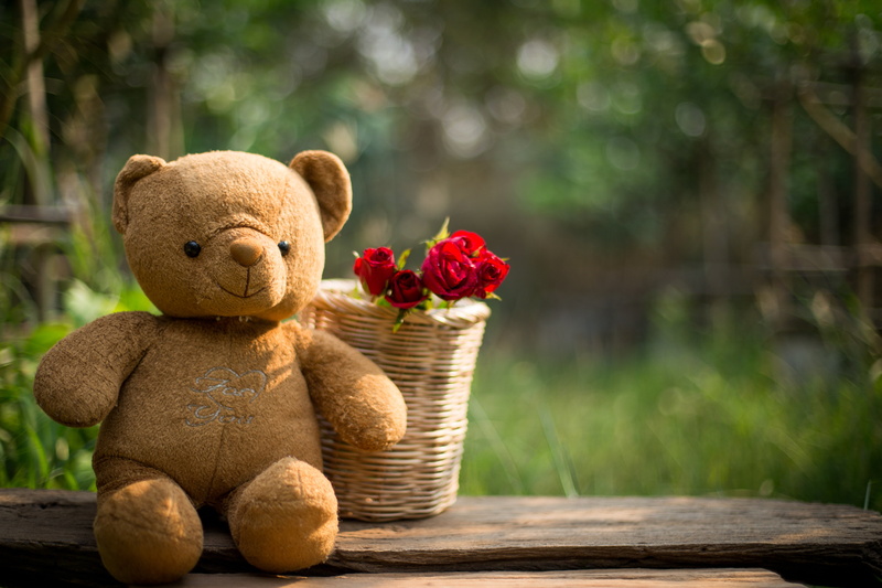 toy, red, love, bear, heart, roses, flowers, gift, 5K, romantic, wood, cute, teddy, valentines day