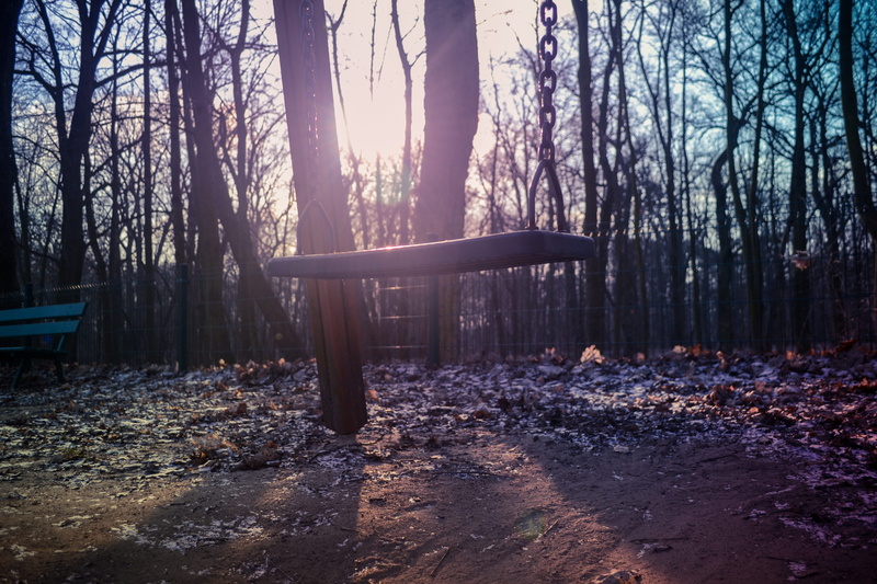 light, non-urban scene, plant part, leaves, no people, tranquil scene, beauty in nature, trunk, trees, shadows, scenics - nature, bare tree, woodland, poznań
