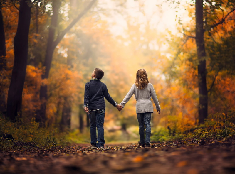 nature, people, park - Man Made Space, men, tree, real people, leaf, 1080P, land, season, beauty In Nature, smiling, beauty, sunlight, orange color, outdoors