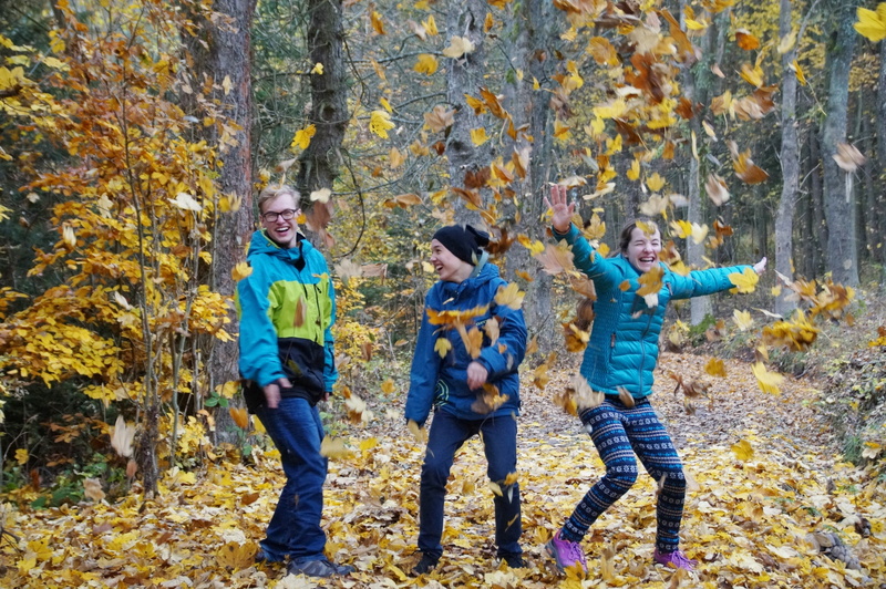 sister, golden autumn, men, leaves, tree, child, outdoors, pleasure, son, nature, togetherness, boys, lifestyles, autumn, real people, fallen, day, group of people