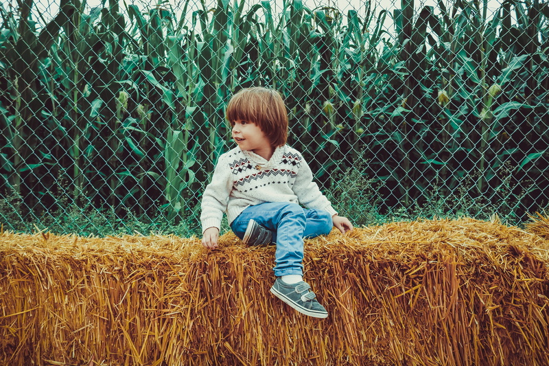 men, corn, childhood, fall, white, boys, boundary, playing, gray, outdoor, jeans, 5K, fence, blue, innocence, child, boy, real people, october, kid, people