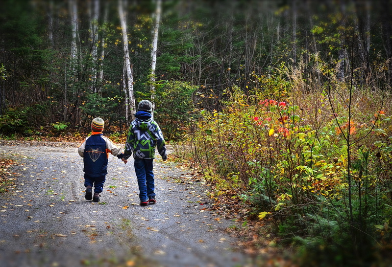 togetherness, waling, outdoors, toddlers, tree, leaves, males, lifestyles, leisure activity, colors, people, fall, two people, two, positive emotion, adult