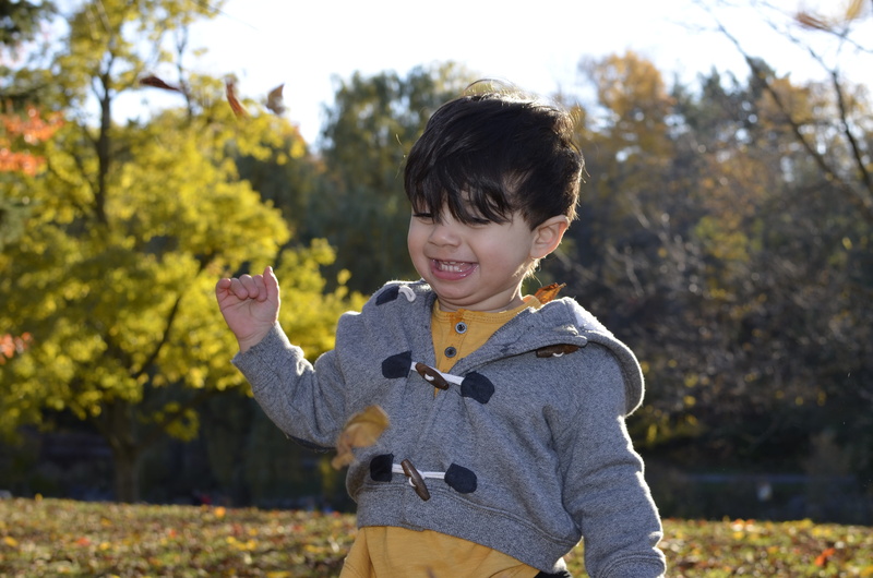 Boy, smile, people, leisure activity, season, tree, fall, childhood, plant, Happy, change, Fun, adorable, real people, front view, playing, day, one boy only