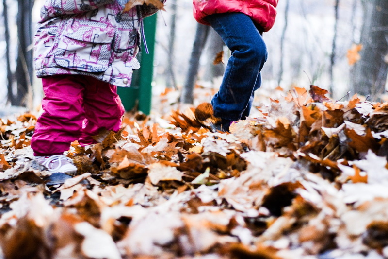1080P, child, leaves, childhood, golden autumn, red leaf, real people, colorful, autumn leaves, foliage, pleasure, day, leaf, fall, outside, nature, dry leaves
