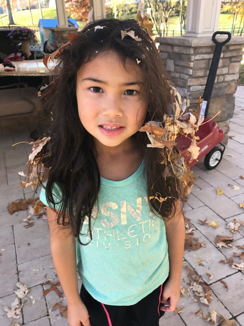 women, casual clothing, portrait, childhood, lifestyles, Fall, child, holding, messy, day, leisure activity, girls, innocence, little, standing, one girl only