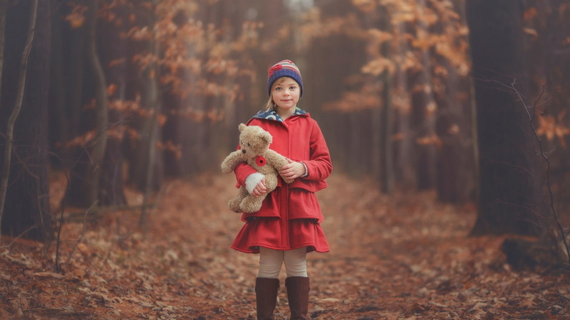 forest, Fall, Teddy Bears, 1080P, Woolly Hat, children