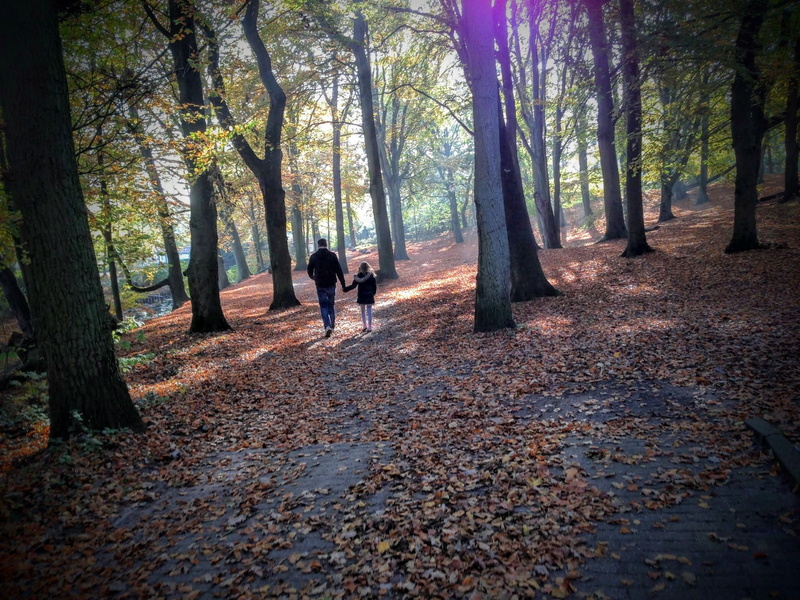 outdoors, plant, men, lifestyles, adult, father and daughter, forest, duinrell, trees, park - Man Made Space, happy, tree trunk, full length, women, walking