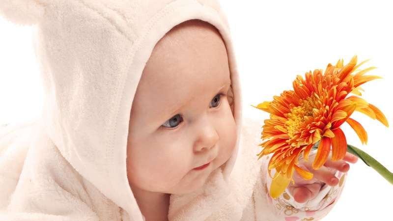body Care, pram, beauty, girls, flower head, small, suit, innocence, women, human Face, s, healthy Lifestyle, infant, 1080P, one Person, white background