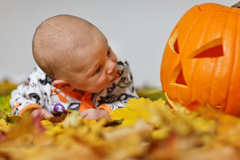 person, smiling, portrait, jack, baby, black, halloween, cheerful, jack O Lantern, indoors, leaf, color Image, sleeved, cute, white, dress, colored, caucasian Ethnicity