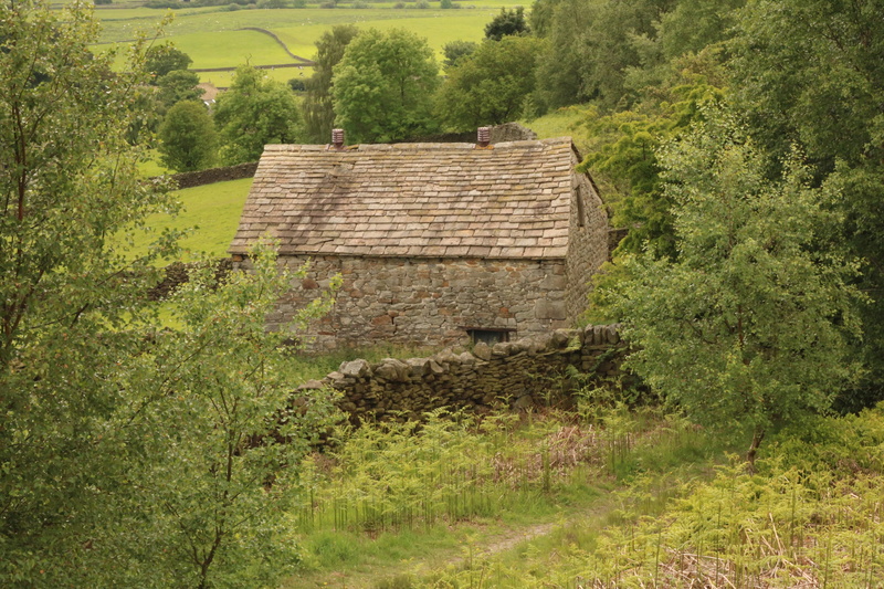 no people, building, house, weathered, green, ferns, building exterior, day, built structure, growth, trees, field, valley, plant, north, tranquility, stone barn