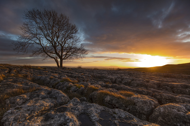 limestone, horizon, sun, landscape, bare tree, lone tree, land, beauty in nature, clouds, orange color, rock, lone, non-urban scene, bare, soil, overcast