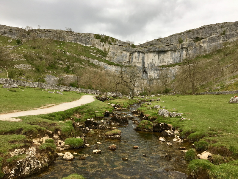 mountain, no people, ground, water, malham cove, tranquil scene, tranquility, bird, grassland, rock, stream, uk, non-urban scene, grass, creek, animal