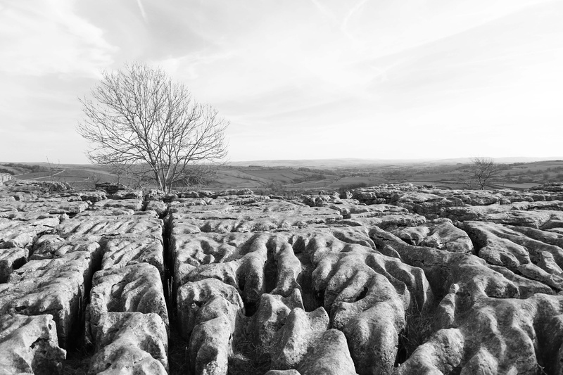 landscape, limestone, environment, tranquil scene, arid climate, plant, remote, beauty in nature, nature, land, no people, solid, bare tree, field, cloud - sky