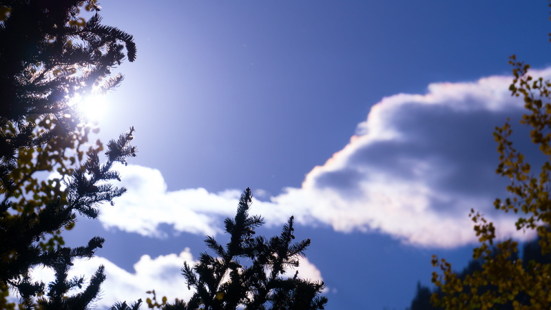 no people, sunbeam, united states, pine tree, plant, flare, clouds, nature, sunlight, fur tree, cloud - sky, beauty in nature, 5K, sky, day, mountains