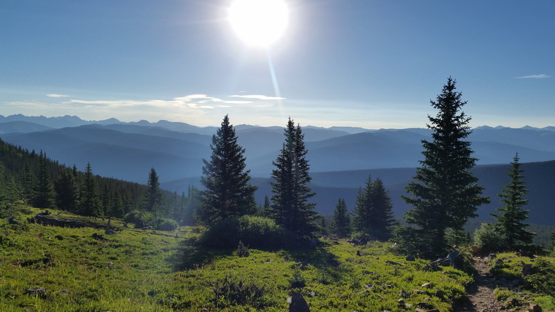 scenic, snow, plant, tranquil scene, summer, sunlight, top, tree, pine tree, mountain peak, beauty in nature, environment, blue, woodland, adventure, natural