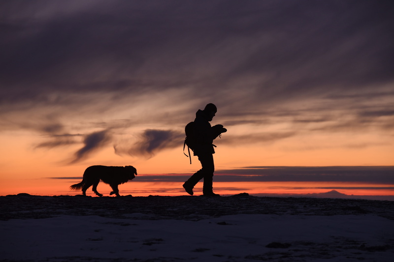 human, horizon over water, silhouette, scenics - nature, dawn, mammal, real people, one animal, chugach state park, sunset, anchorage, 5K, animal themes