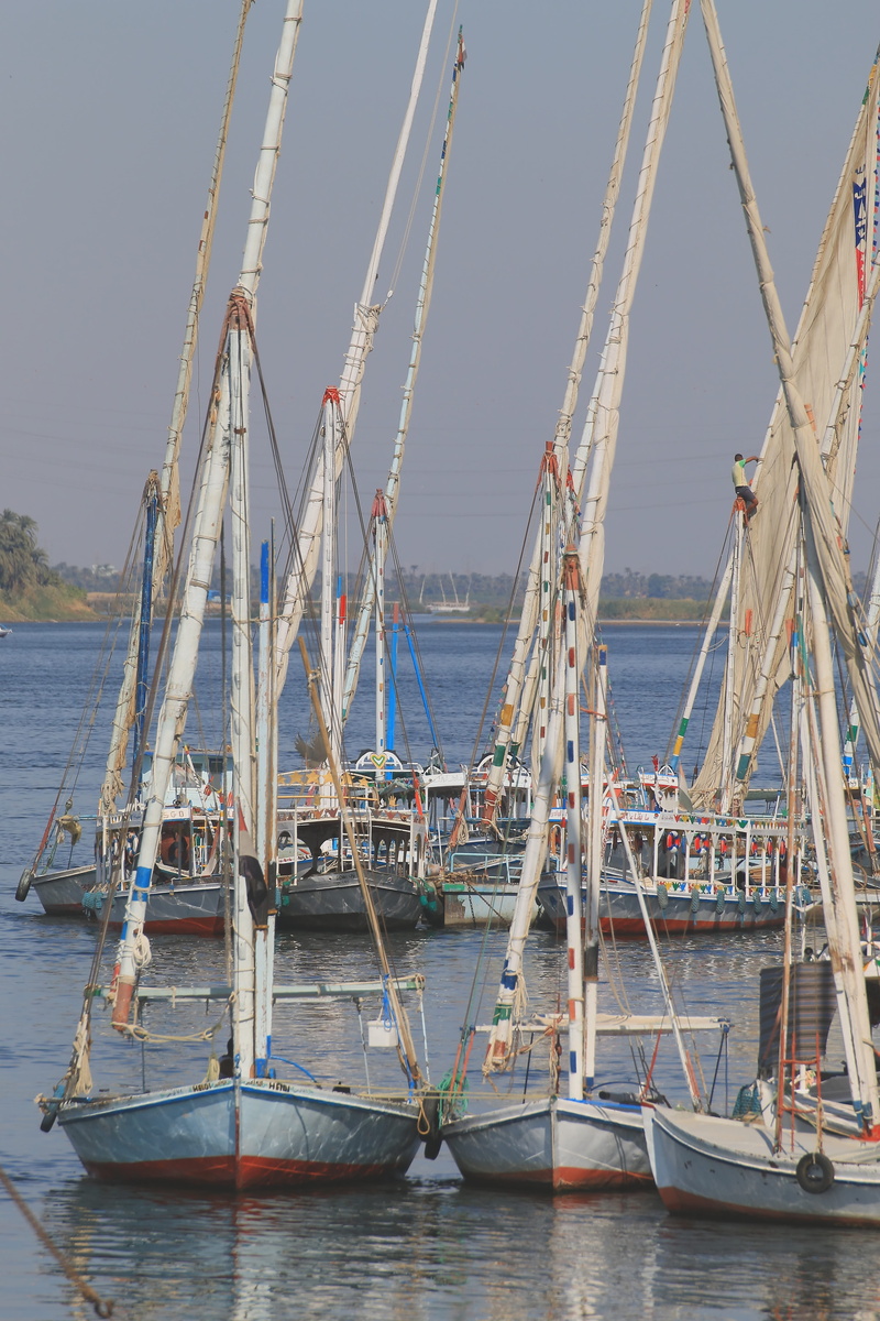 outdoors, pole, marina, sea, boat mast, sail, day, sailboat, egypt, architecture, waterfront, water, nautical vessel, sky, moored, ship masts, 5K, fishing boat