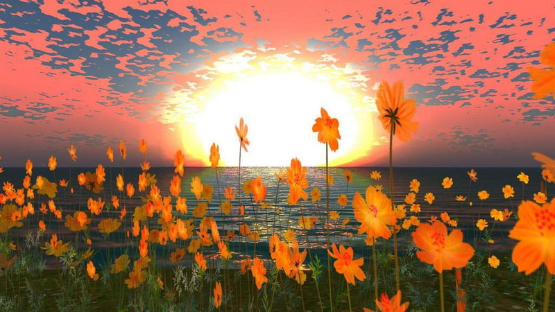 Paysage, 720P, Artistic