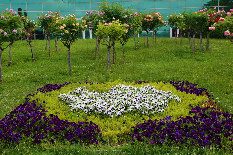 landscape, 5K, nature, purple, field, grass, park, ornamental garden, paysage, outdoors, flowerbed, day, garden, green color, garden path, land, growth