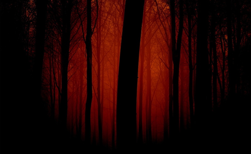 digital, arts culture and entertainment, Bloody, shadow, no people, single object, trees, Nature, 2K, curtain, performance, studio shot, textile, stage