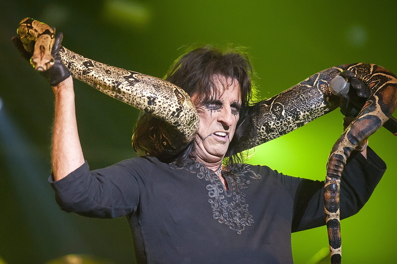 alice, rock, 2K, hard, heavy, cooper, metal