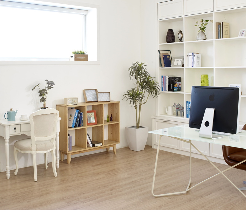 shelf, 4K, wooden, plant, houseplant, no people, absence, bookshelf, table, book, technology, modern, white, electric lamp, home interior, furniture, day