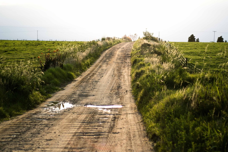 the way forward, rise, sun, field, water, tsitsikamma national park, landscape, dirt, diminishing perspective, 2K, graas, sunrise, land, sunset, transportation
