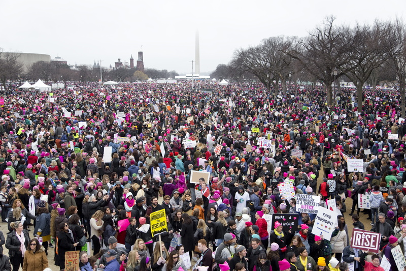 large group of people, resist, men, architecture, northwest washington, united, real people, tree, plant, nature, signs, national mall, high angle view