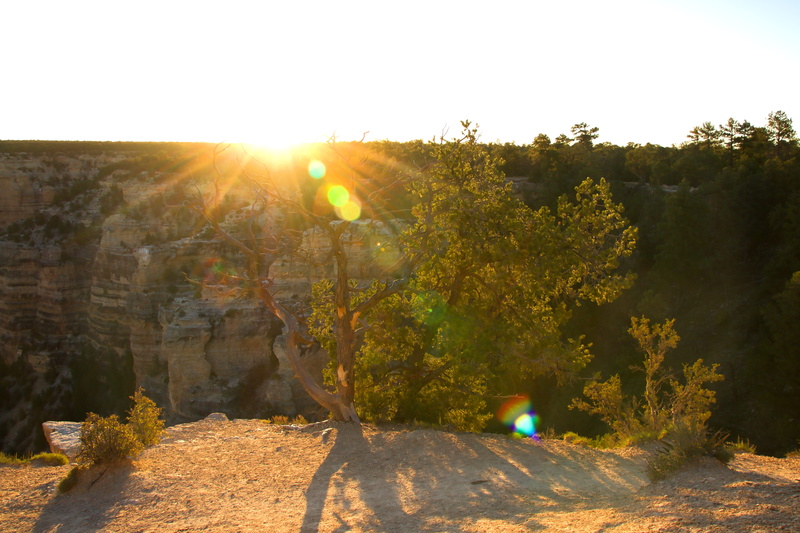 rise, lens flare, morning, grand canyon national park, tranquility, canyon, no people, land, grandcanyon, rocks, america, scenics - nature, sunbeam, streaming