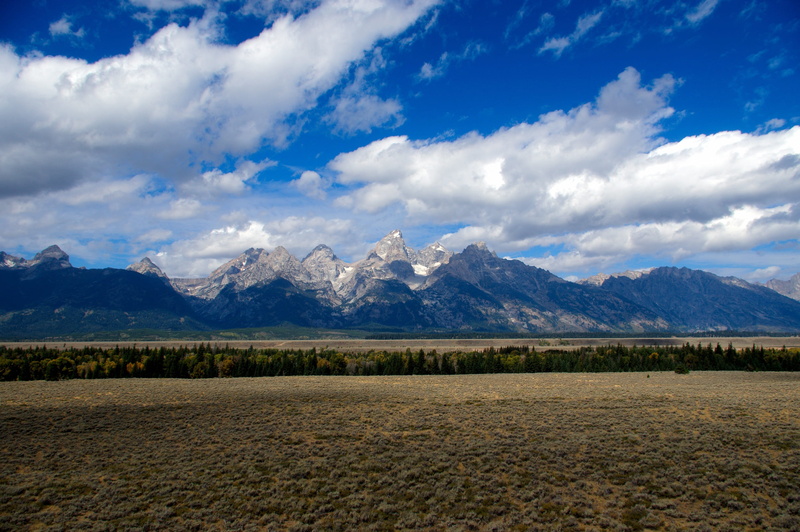 grand, autumn, tree, no people, plant, trees, teton, sagebrush, mountain peak, travel, tetons rising over the valley, environment, mountain, snow, cloud - sky
