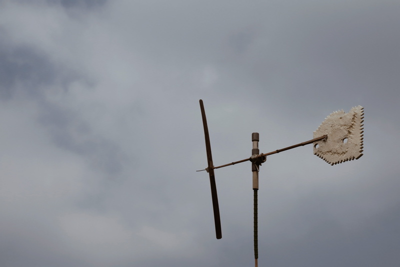 no people, technology, wind, animal themes, simple, wood, cloud - sky, connection, outdoors, telephone line, nature, power supply, telecommunications equipment