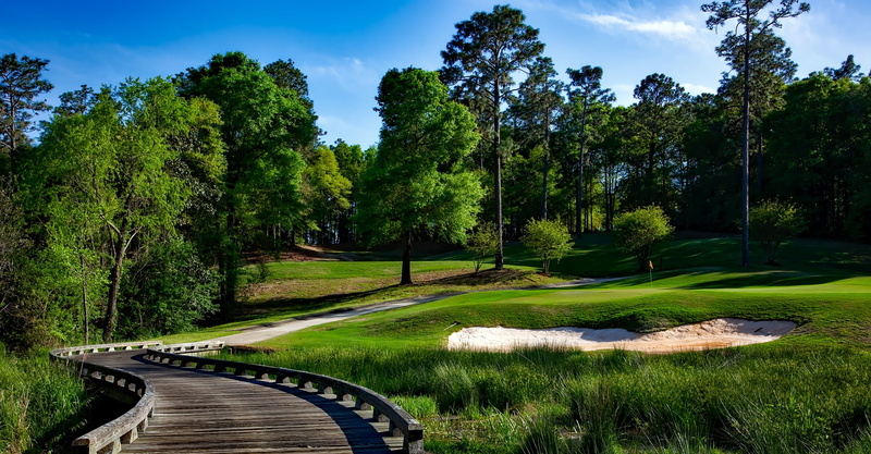tree, field, alabama, no people, green Color, vacation, growth, grass, bridge, cloudy, daytime, tranquil scene, summer, land, golfing, landscape, near