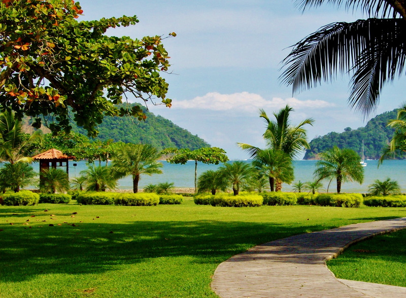 palm tree, day, coconut palm tree, scenery, tropical climate, sand trap, green - golf course, summer, Los Suenos, los suenos marriott, tranquility, footpath