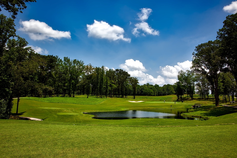 grass, tranquility, green color, panorama, forest, vacation, trees, green, golfing, clouds, body, muscle shoals, sand trap, activity, sky, blue, summer