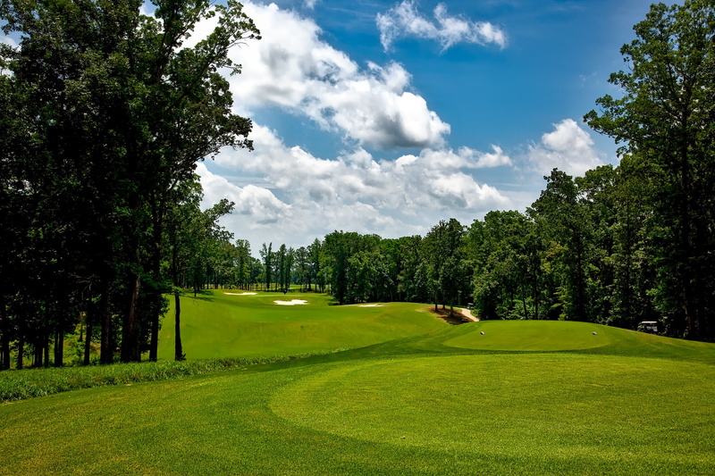 green Color, course, nature, land, non-urban scene, trees, day, alabama, hdr, sand trap, green, daytime, fairway, recreation, beauty in nature, scenics - nature