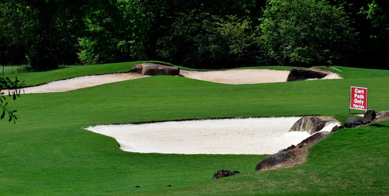 trap, play, day, game, course, landscape, greens, hole, ball, leisure activity, sand, competition, golfing, plant, field, tree, shadow, sand trap, leisure