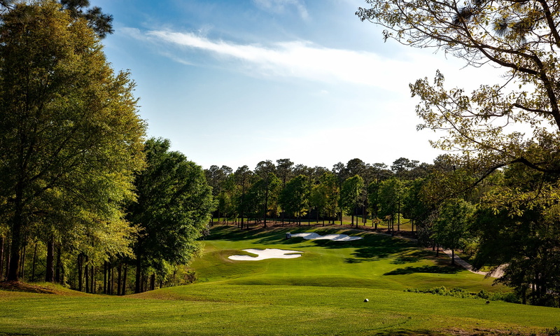 golfing, golf, tree, growth, clouds, grass, fairway, cloud - sky, holiday, grasses, mobile, recreation, sports, magnolia golf course, plant, golf course
