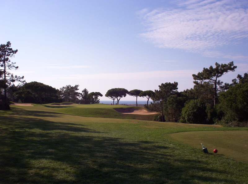 animal wildlife, green - golf course, land, sport, outdoors, 1080P, tree, plant, golfing, golf Course, tranquil scene, scenics - nature, putting Green