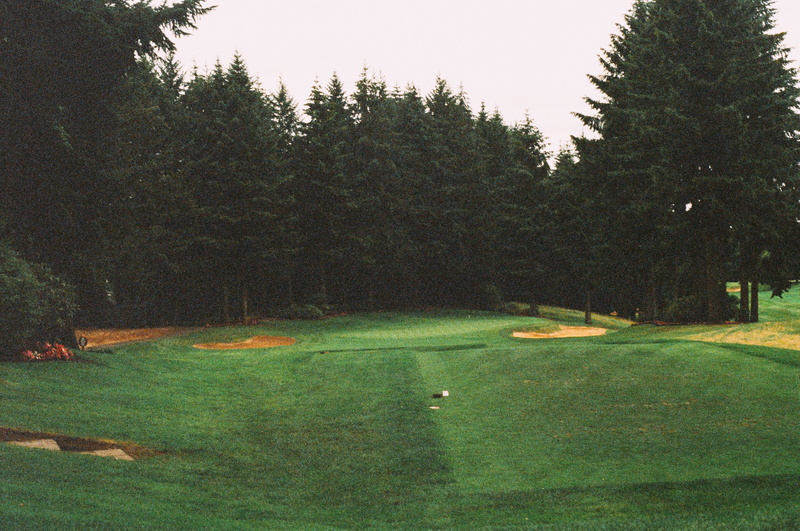 coniferous tree, forest, golf, field, day, nature, daytime, sand trap, no people, tranquility, tress, green - golf course, golf course, sky, hole, 4K