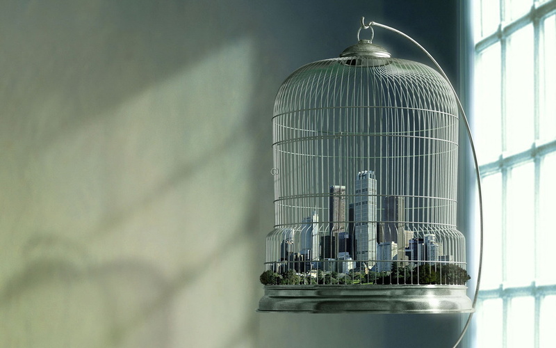 skyscraper, day, cages, metal, close-up, nature, birdcage, lighting equipment, wall - building feature, no people, window, shiny, low angle view, shadow
