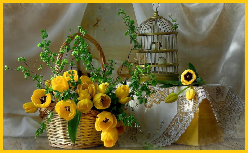 flowers, nature, nature and landscapes, 1080P, birdcage, still life