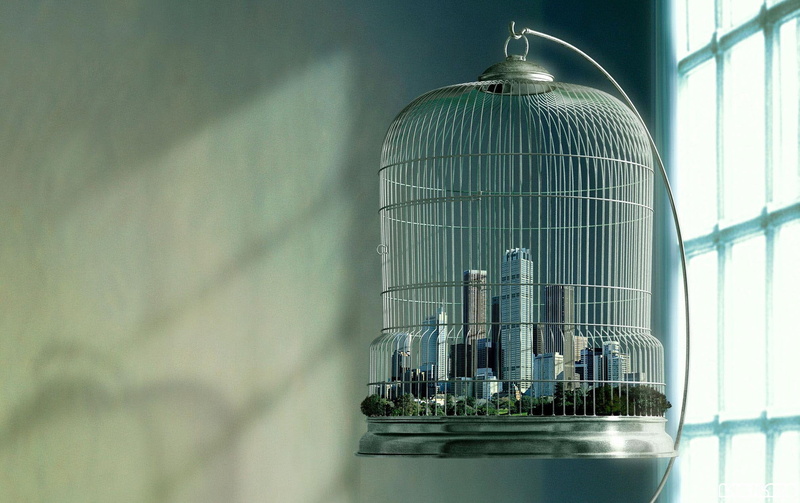 factory, birdcage, animals in captivity, low angle view, alloy, no people, city, sunlight, silver colored, built structure, Art And Creative, steel, gray