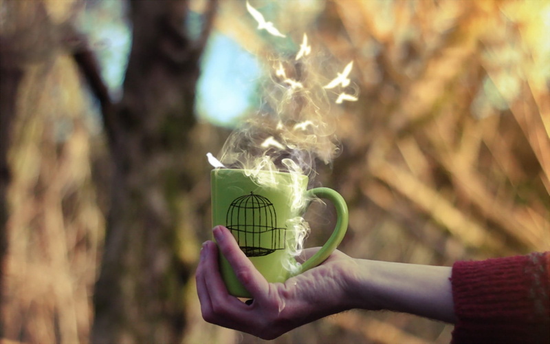 freshness, females, unrecognizable person, coffee - Drink, plant, hand, day, print, morning, people, cup, forest, tea - Hot Drink, coffee Cup, trunk, human Hand