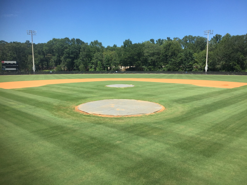 green color, no people, infield, baseball diamond, golf course, baseball, sunlight, sky, diamond, sport, plant, base, nature, sand trap, activity, flag
