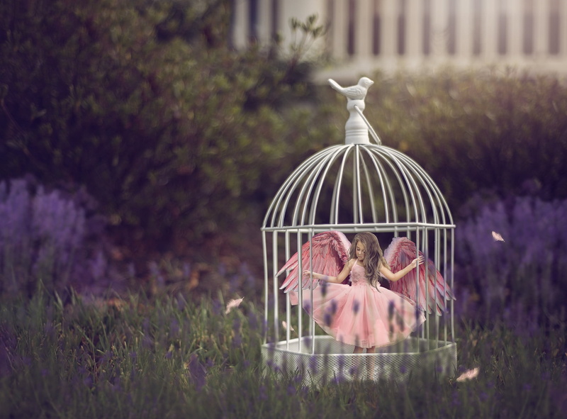 pink, animal themes, two animals, creative, cage, Free bird, bird, representation, child, nature, pasare, grass, 1080P, wings, animal, field, group of animals