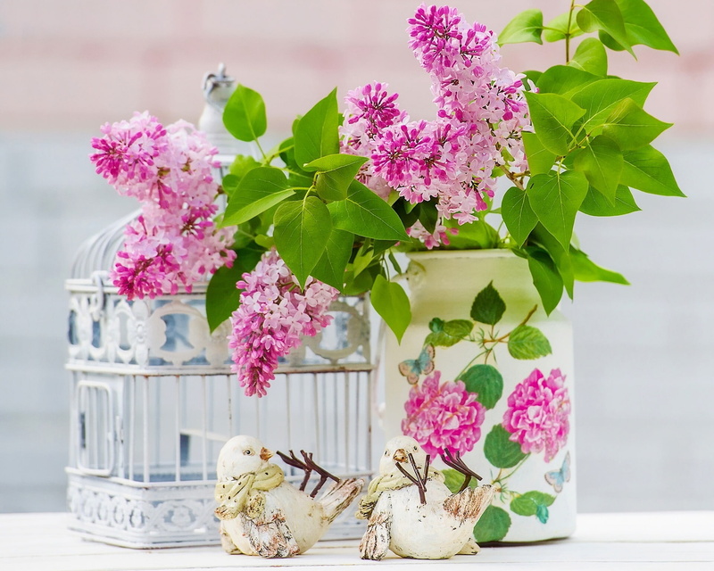 purple, petal, lilac, leaf, beauty in nature, flowering plant, Flowers, flower arrangement, day, softness, plant part, bunch of flowers, table, no people