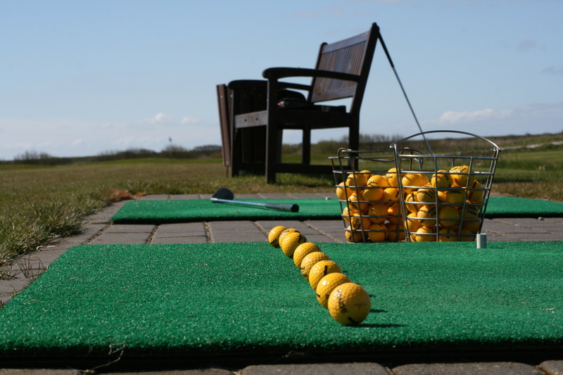 ready, black, day, practice, fruit, freshness, food, assembly line, near, sport, line, nature, large group of objects, club, outdoors, swing, course, line up