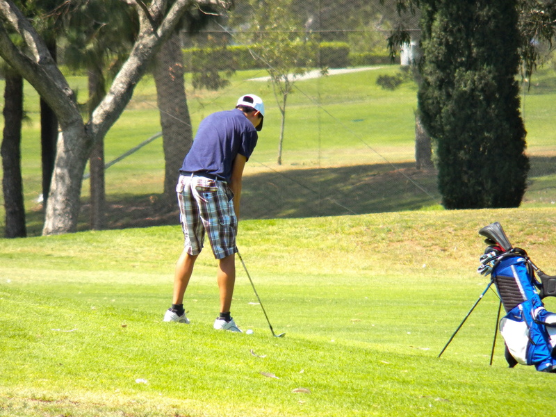 club, course, cap, one person, taking a shot - sport, adult, competition, hitting, man, golfing, tree, nature, activity, grass, green, weekend activities