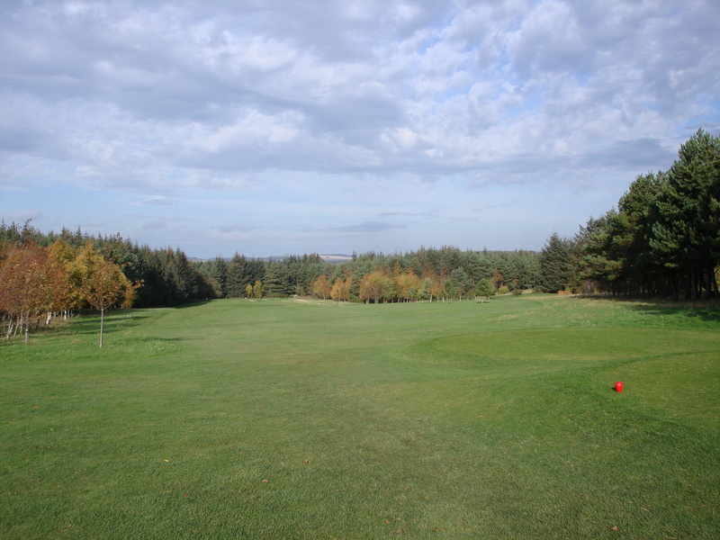 challenge, compete, driver, shot, field, sport, green color, competition, player, golfcourse, activity, enjoyment, green - golf course, tee, play, photography