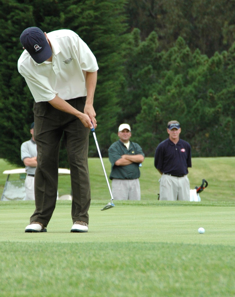 hit, outdoors, people, golfer, fairway, group of people, flag, landscape, green, scenic, full length, wearing, mature men, weekend activities, game, nature